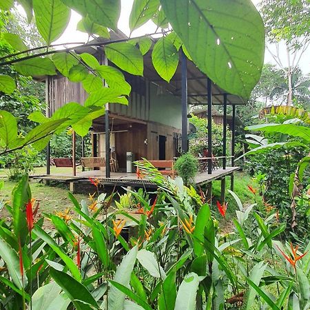 Amazona Lodge Leticia Bagian luar foto