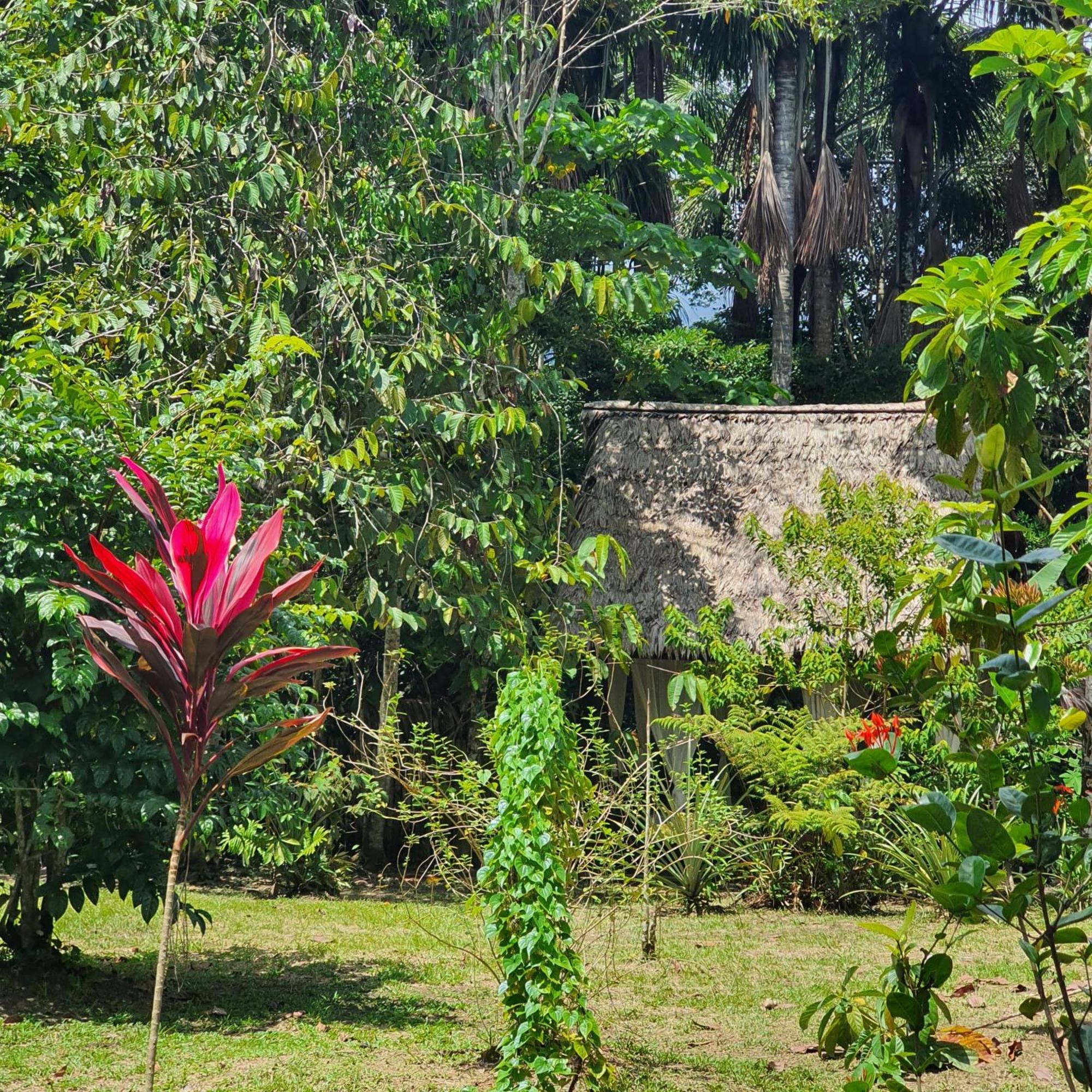 Amazona Lodge Leticia Bagian luar foto