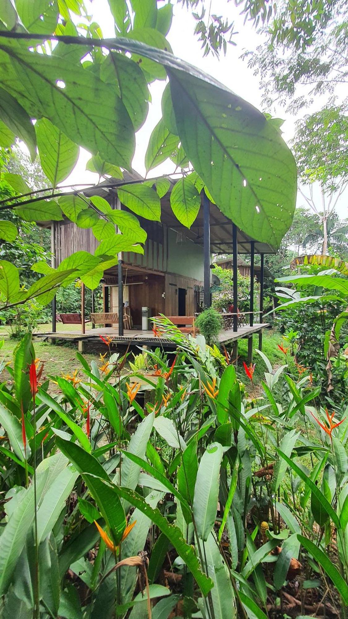 Amazona Lodge Leticia Bagian luar foto