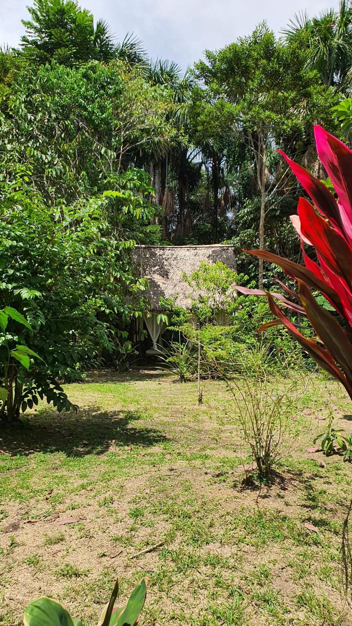 Amazona Lodge Leticia Bagian luar foto