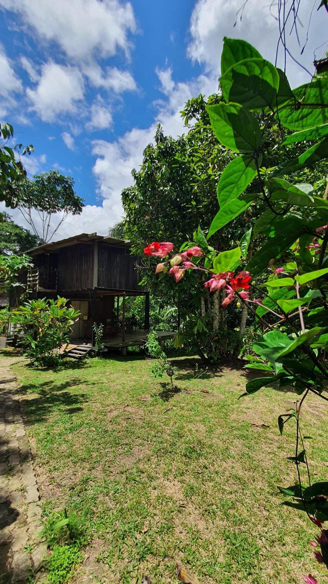 Amazona Lodge Leticia Bagian luar foto