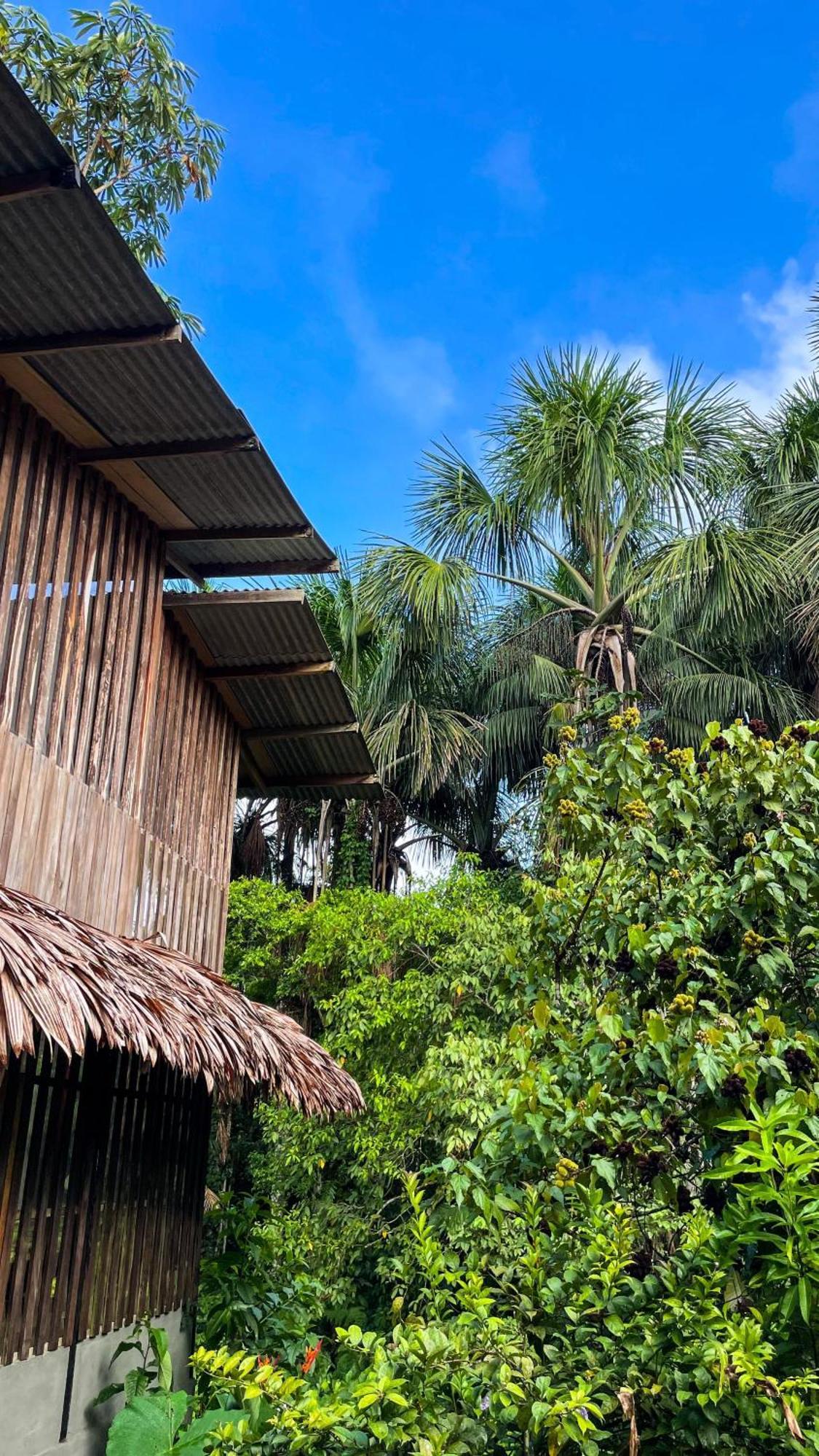 Amazona Lodge Leticia Bagian luar foto