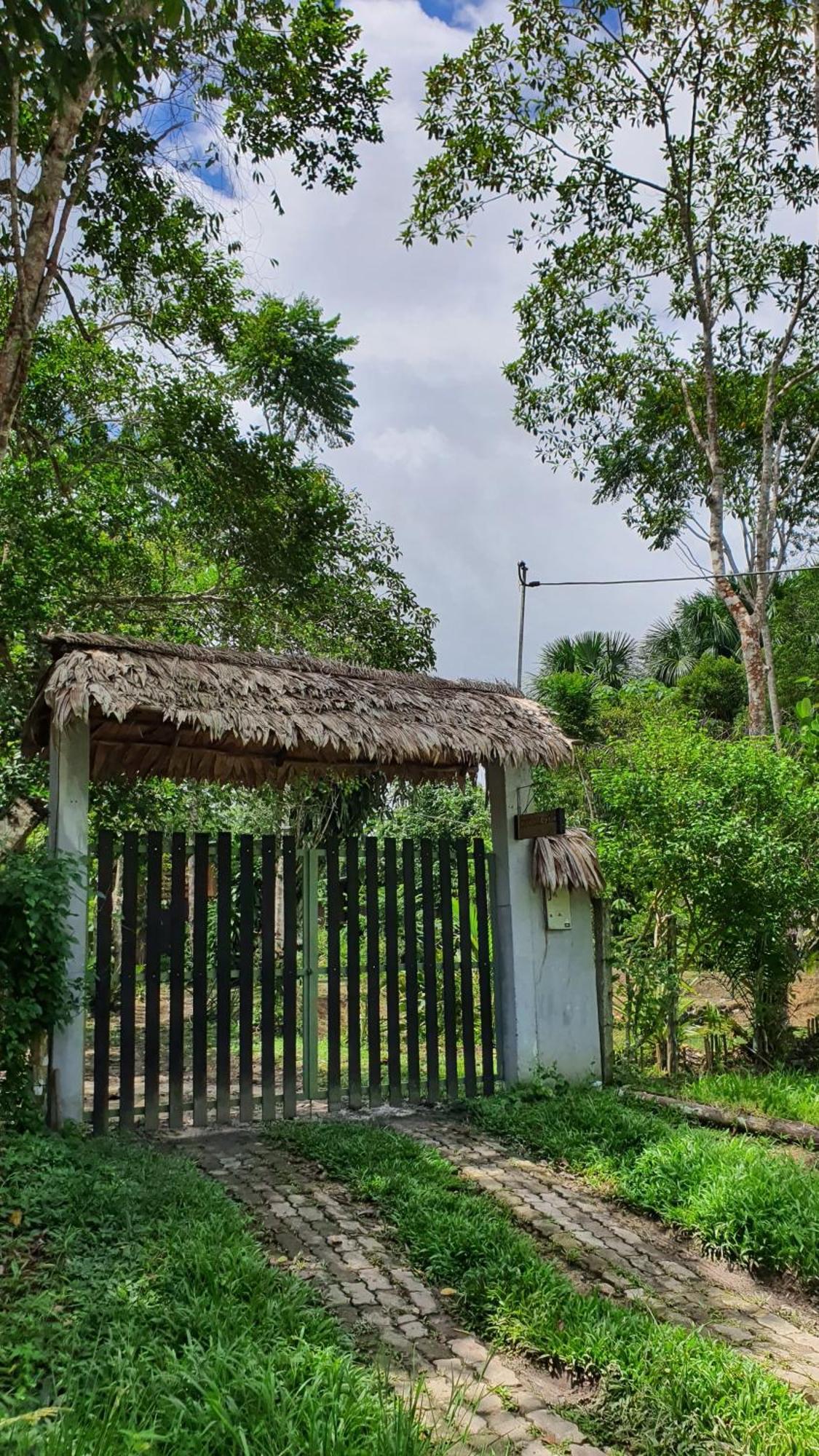 Amazona Lodge Leticia Bagian luar foto